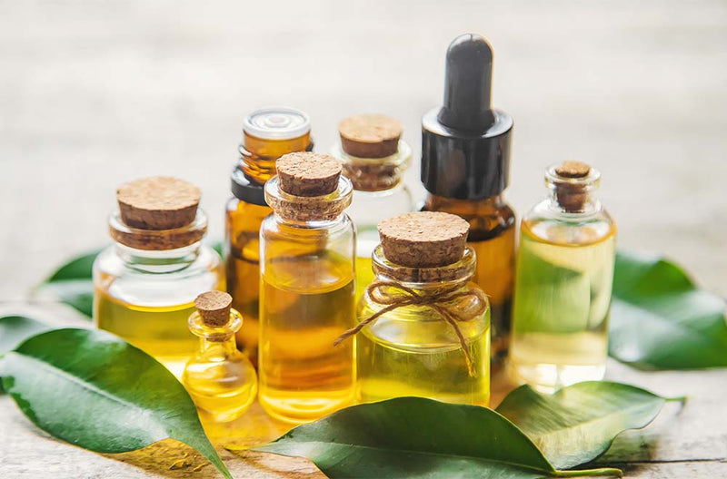 FO or EO? - the ultimate scent question